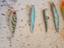 Immagine 3