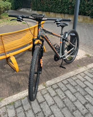 Bottecchia mtb 29