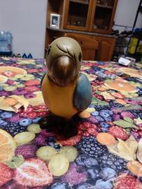 pappagallo mambo thun