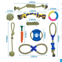 Kit 10 giochi per cani