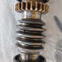 vite senza fine Frog CAME