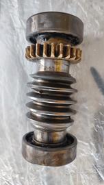 vite senza fine Frog CAME