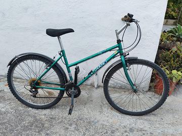 Bici da uomo telaio 26