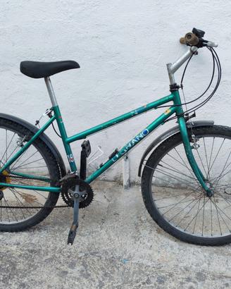Bici da uomo telaio 26
