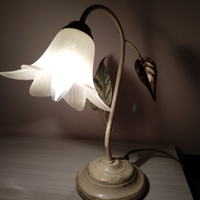 Lampadario + 1 lampada da comodino