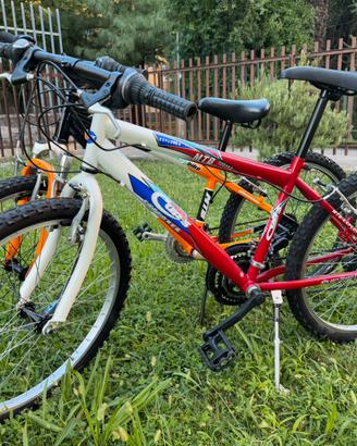 Bicicletta MTB ,ruote 24