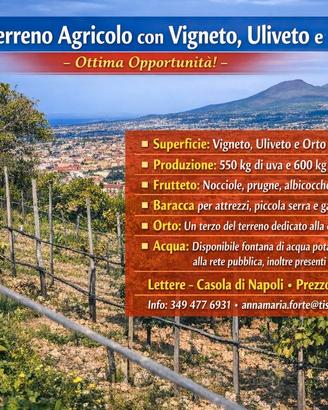 Terreno agricolo con vigneto, uliveto e frutteto