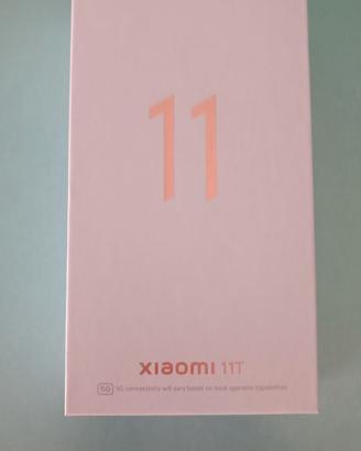 Xiaomi 11T