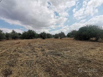 Ann. Terreno agricolo edificabile - Modica