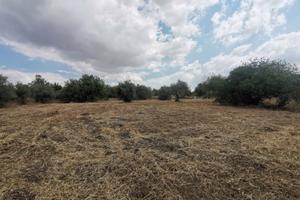 Ann. Terreno agricolo edificabile - Modica