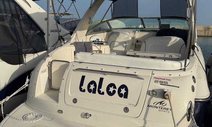Barca Monterey 295 EFB Volvo Penta