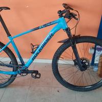 bici (Mountain bike)