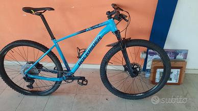 bici (Mountain bike)