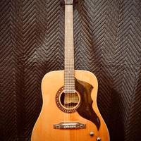 Chitarra acustica vintage EKO Ranger amplificata