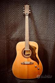 Chitarra acustica vintage EKO Ranger amplificata