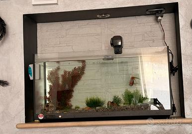 Acquario 80 lt