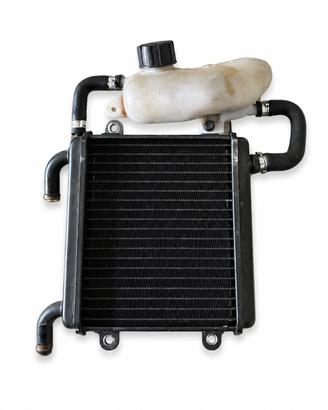 radiatore + vaschetta yamaha aerox