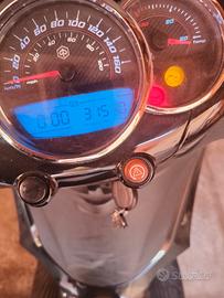 Beverly Pollice 300