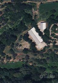 Azienda avicola, capannoni e terreno