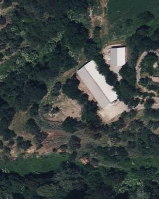 Azienda avicola, capannoni e terreno