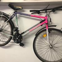 Bici