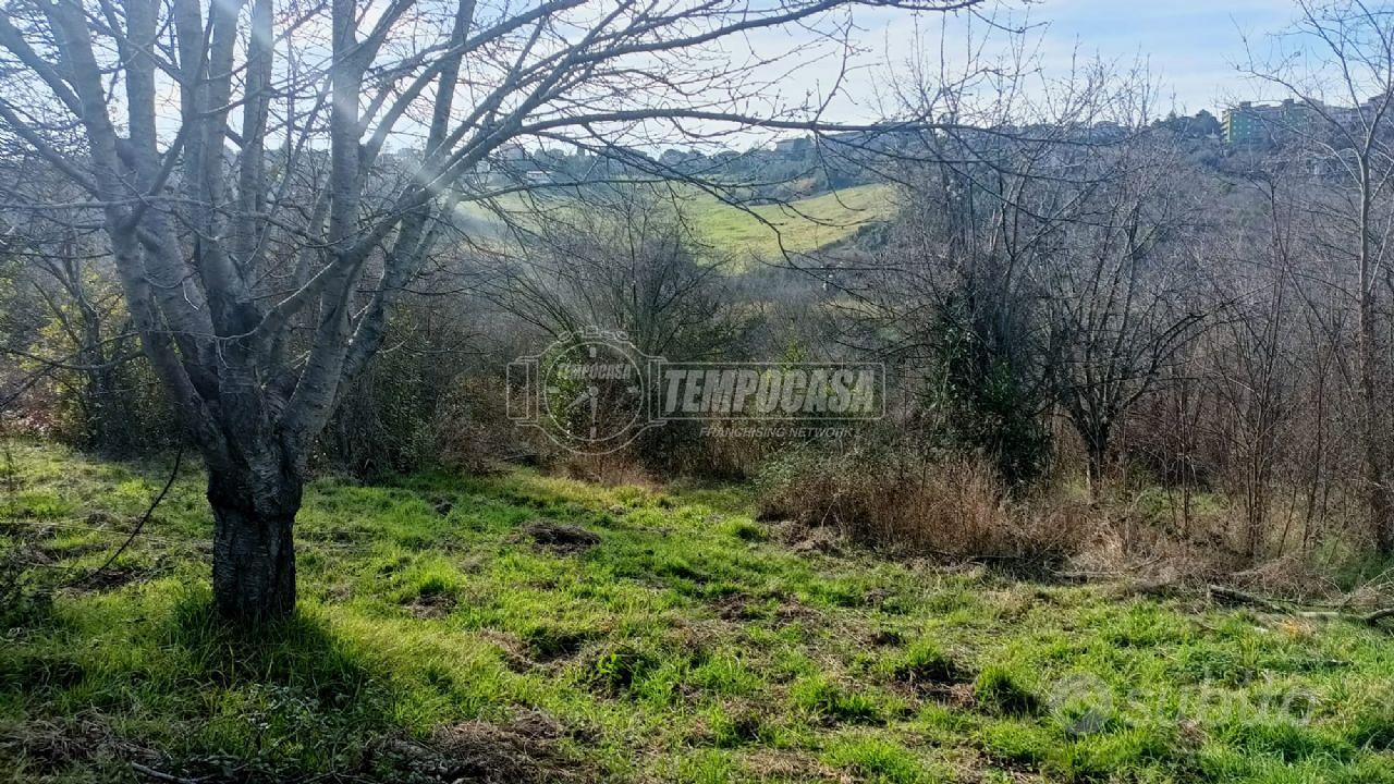 TERRENO AGRICOLO - Vista 3