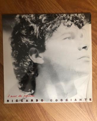 Vinile 33 giri