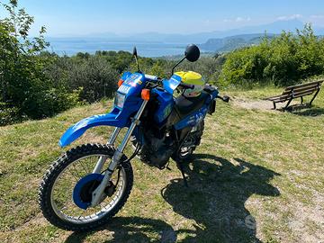 Xt600