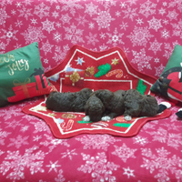 Cuccioli Lagotto romagnolo pedigree Roy