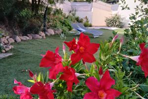 Costa rei villetta con vista mare