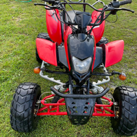 Quad 250 shineray