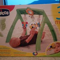 palestra bambino chicco 