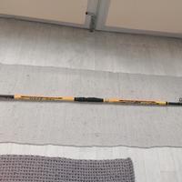 canna da pesca surfcasting