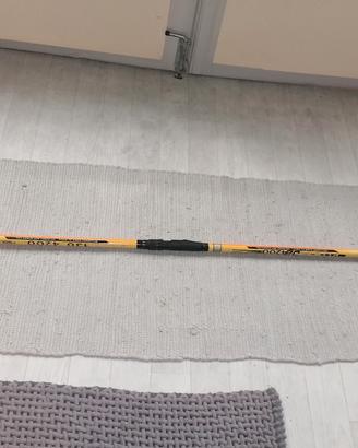 canna da pesca surfcasting