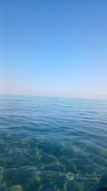 Vacanze ultime disp. AGOSTO 12 - 16 e 16 - 31