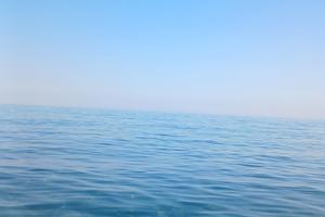 Vacanze ultime disp. AGOSTO 12 - 16 e 16 - 31