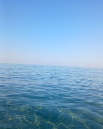 Vacanze ultime disp. AGOSTO 12 - 16 e 16 - 31