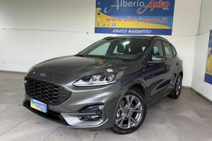 Ford Kuga 2.0 EcoBlue Hybrid 150 CV 2WD ST-Line