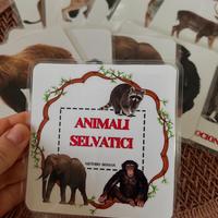 Carte Doman per bambini – Educative e impermeabili