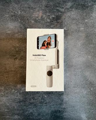 Insta360 Flow