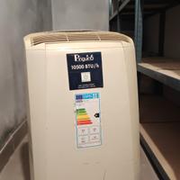 Condizionatore Portatile Pinguino De Longhi 10500 