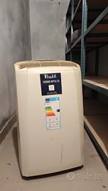 Condizionatore Portatile Pinguino De Longhi 10500 