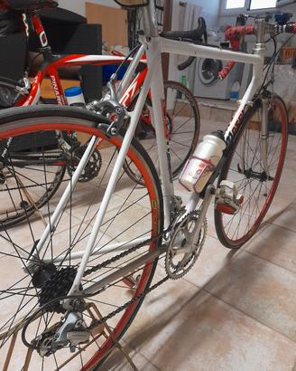 Bici Moser mis.53