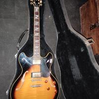 Washburn chitarra