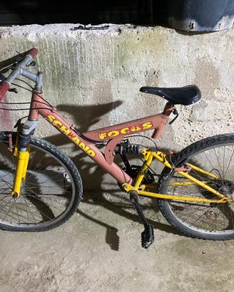 bici schiano focus
