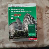 Matematica multimediale.verde: il 1 volume