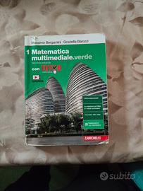 Matematica multimediale.verde: il 1 volume
