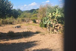 terreno agricolo
