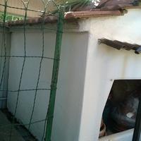 CUCCE e ACCESSORI per CANI