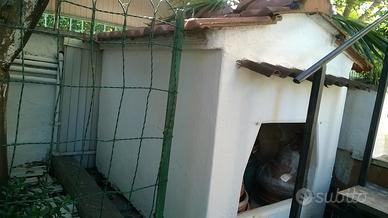 CUCCE e ACCESSORI per CANI